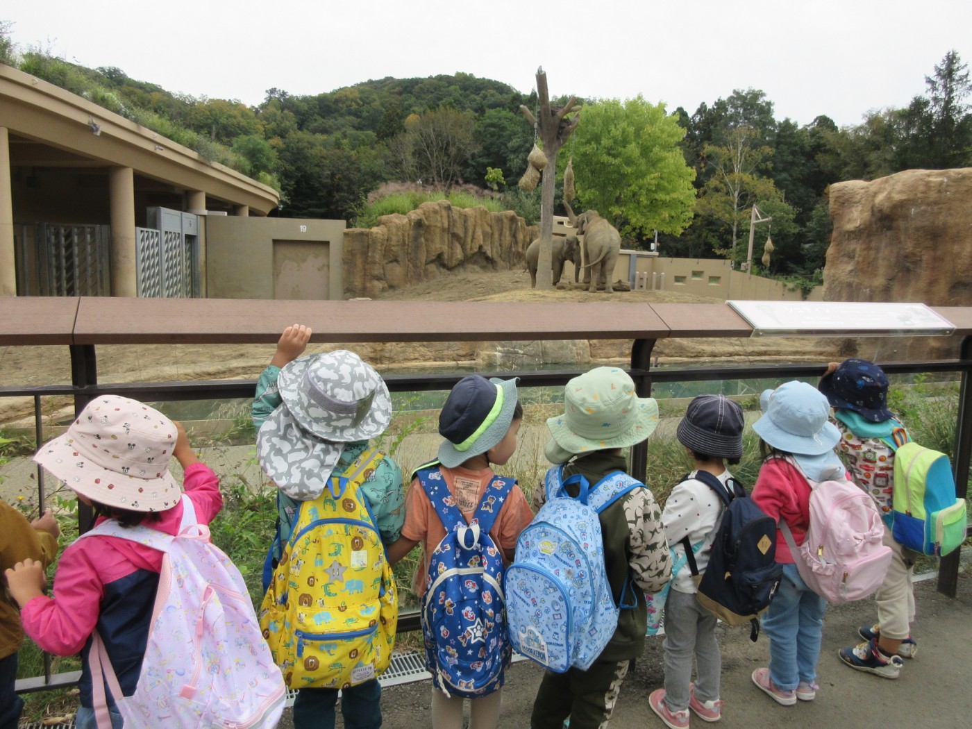 円山動物園に行きました☆年少